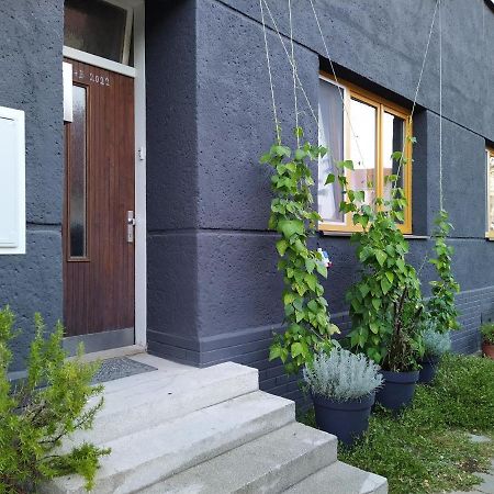 Apartmán s klavírem Lednice Exteriér fotografie